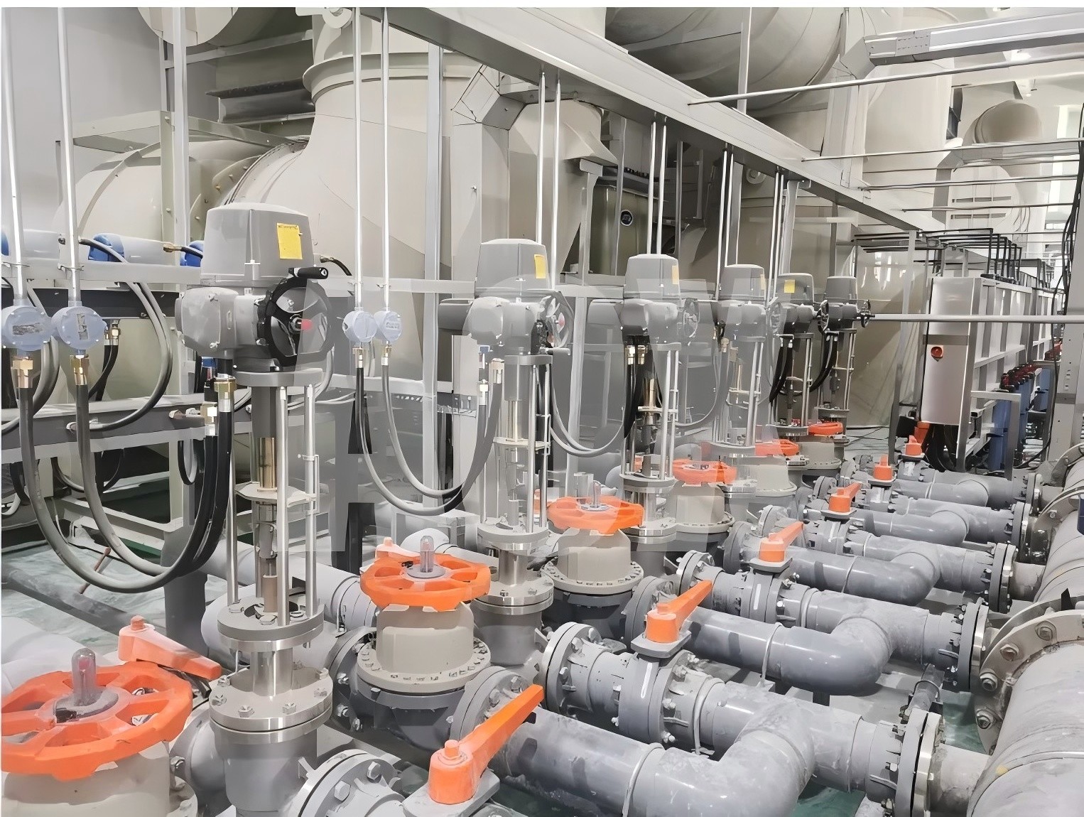 1755479301543713.jpg 640 (1).jpg